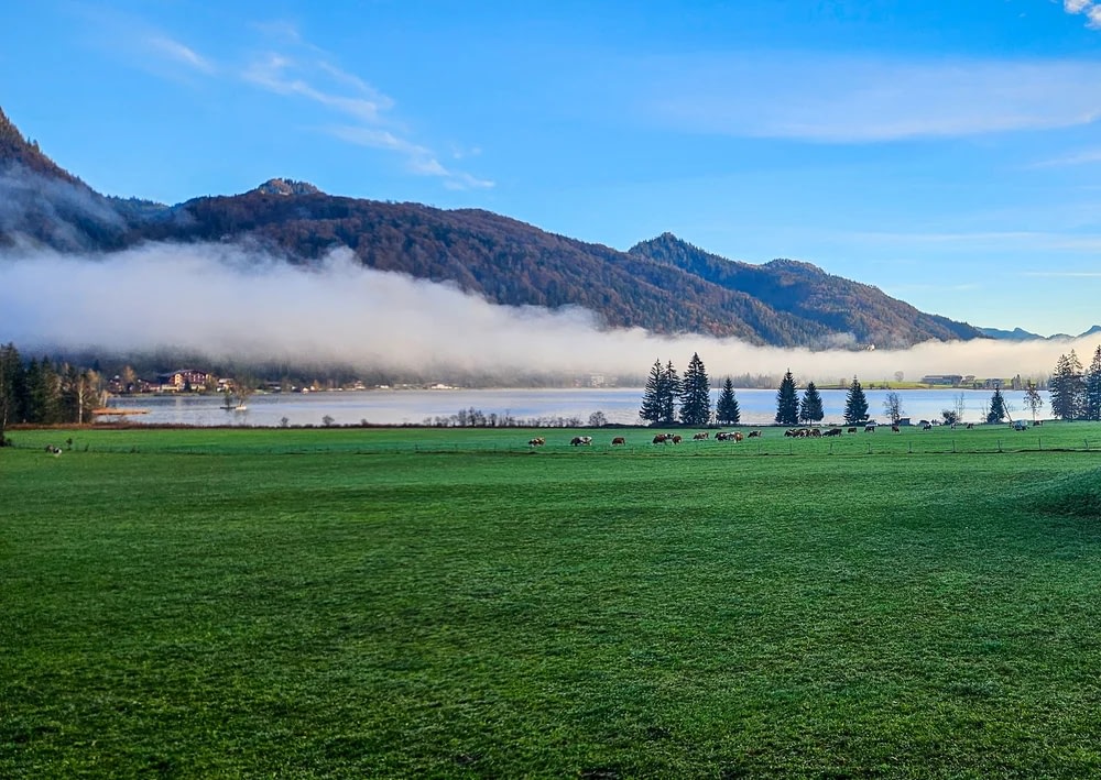 Startseite see berge, wiese